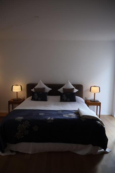Allerinsel - Appartement Am Celler Yachthafen Bagian luar foto